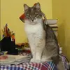 Отзыв от Эльвира Корнева